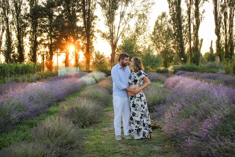 Coppia in attesa in un campo di lavanda al tramonto