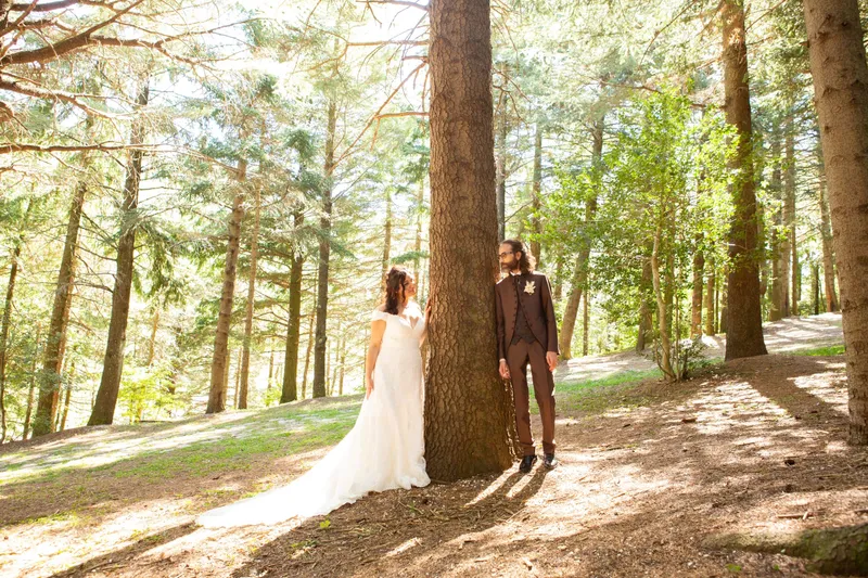 Sposi ai lati di un albero nel bosco
